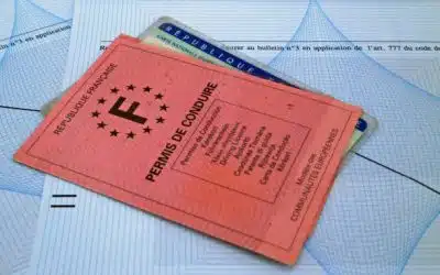 Sécurité et Validité des Permis de Conduire des conducteurs routiers
