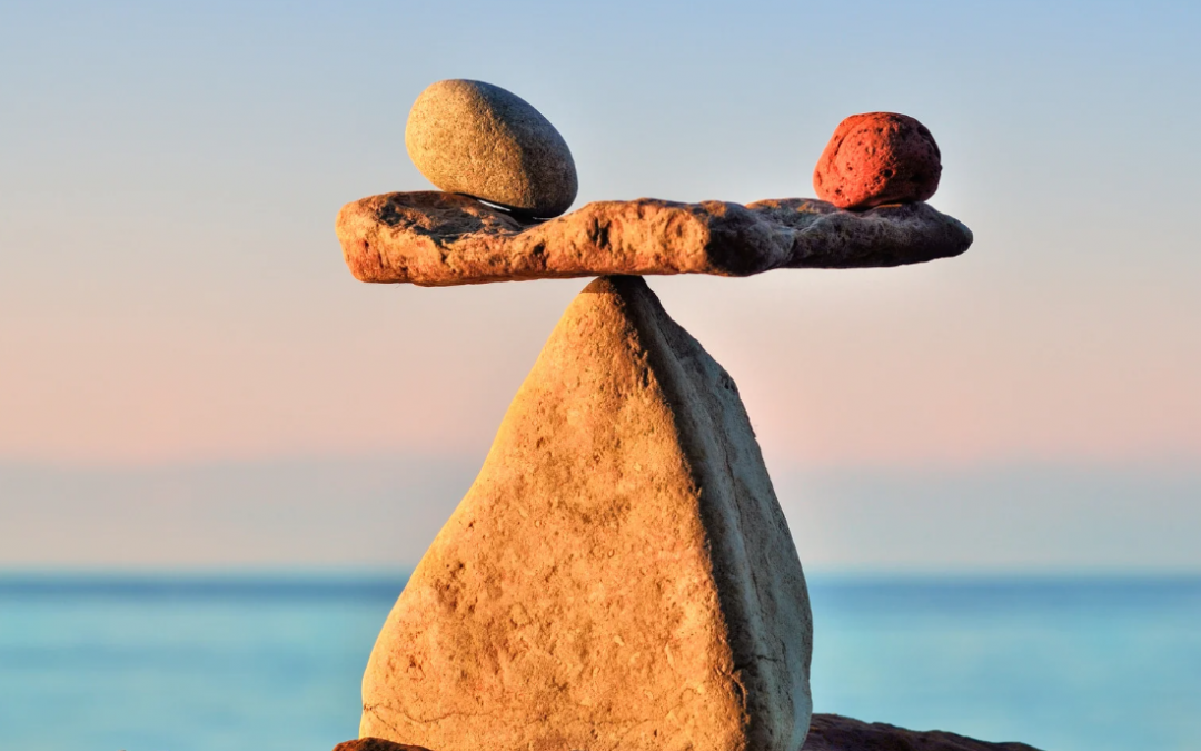 Le nouveau guide TVB est disponible !